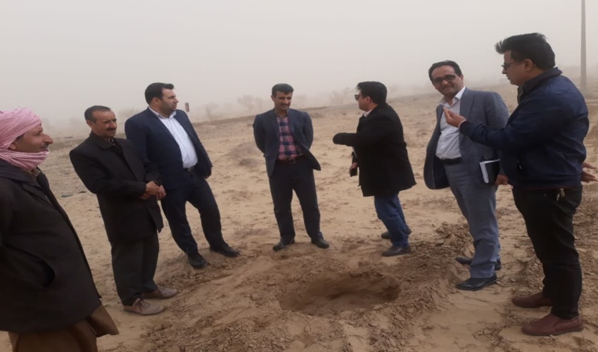 خراسان رضوی/تاغ کاری 60 هکتار اراضی بیابانی در شهرستان مرزی سرخس