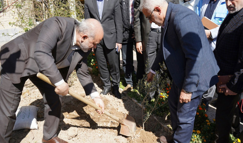 وزیر کشور درخت کاشت 