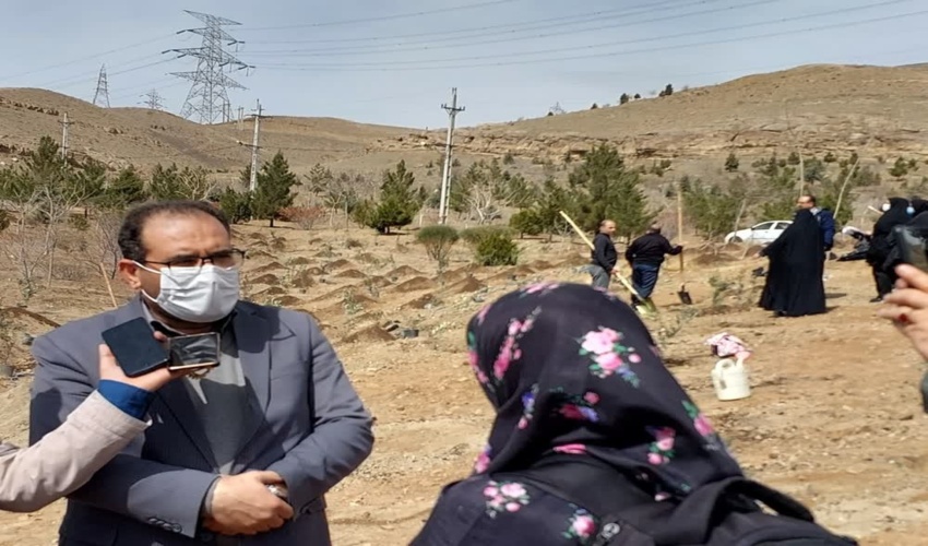 ۲۰ درصد تعهد تولید نهال کشور به البرز واگذار شد/ جنگل‌کاری ۳۵۰ هکتاری برای مقابله با ریزگرد