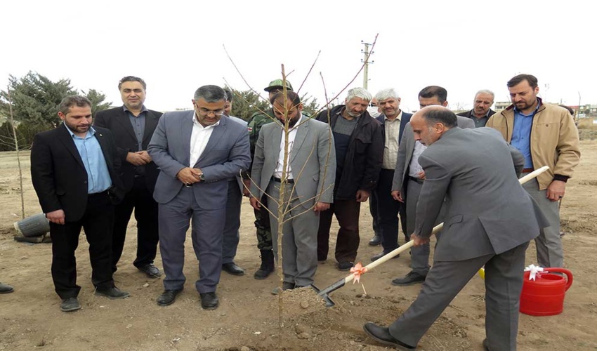 زنجان/درختکاری و حفاظت از درختان نیاز به فرهنگ سازی عمومی دارد