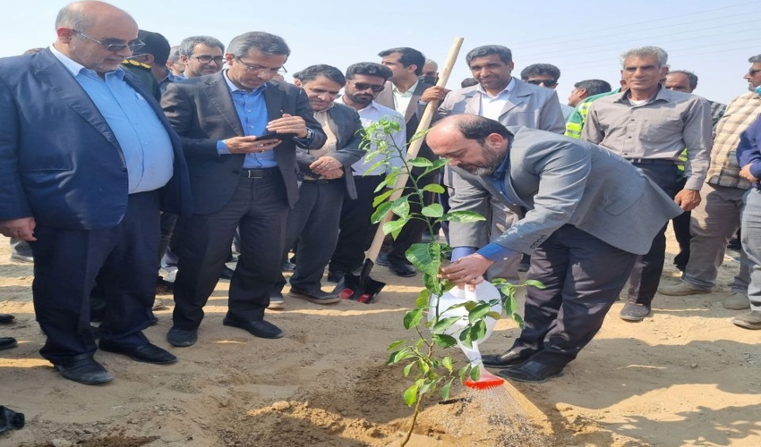 کاشت ۱۵۰ هزار اصله نهال در هفته درختکاری در سراسر استان هرمزگان
