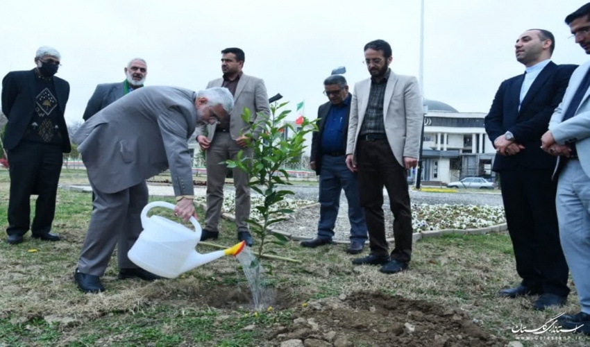 غرس 3 نهال به مناسبت هفته منابع طبیعی توسط استاندار گلستان