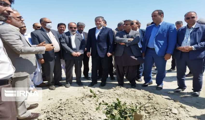 پایان نهالکاری در کانون بحرانی فرسایش بادی چابهار با حضور وزیر جهاد کشاورزی