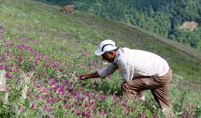 شمار اعضای صندوق توسعه منابع طبیعی اصفهان به ۱۵ هزار نفر رسید