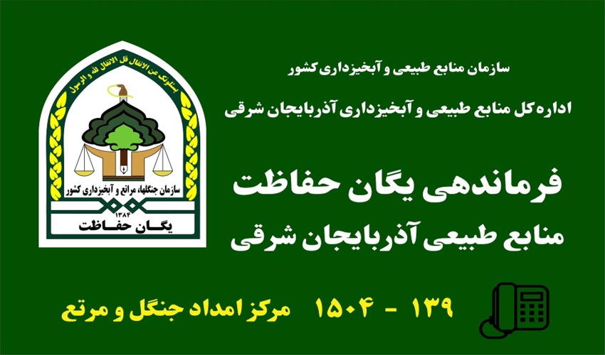 آذربایجان شرقی/کشف و ضبط 166 تن چوب قاچاق در طی سال گذشته