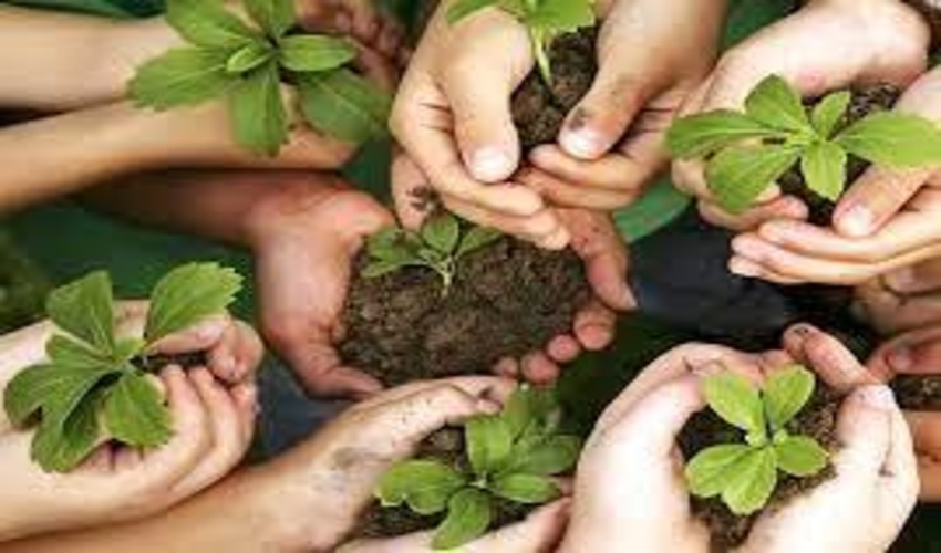 ایلام/ مشارکت هفت هزار همیار طبیعت در نگهداری از رویشگاه‌ها و ذخیره‌‍‌گاهای ژنتیکی