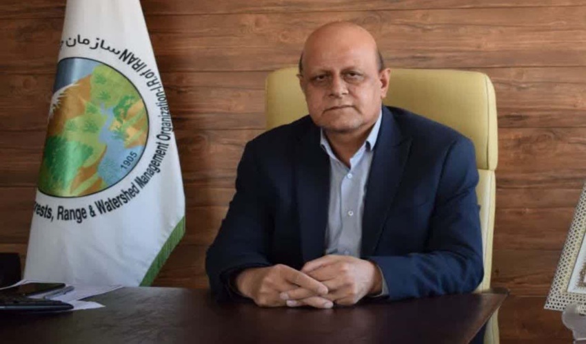 کرمانشاه/ مراتع استان در سال گذشته کمترین میزان حریق را تجربه کرد / ٢۵۵ دیده بان مانع پیشروی آتش سوزی در جنگل ها