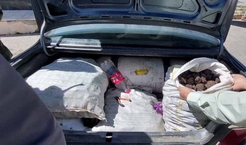 سه خودروی حامل قارچ ترافل توقیف شد