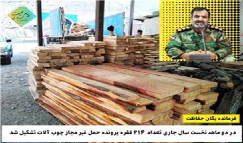 ساری/ تعداد 214 فقره پرونده حمل غير مجاز چوب آلات تشکيل شد