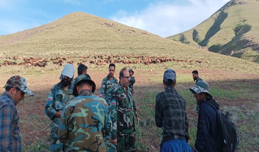 قزوین/ اخراج بیش از ۱۰۰۰۰ رأس دام غیر مجاز از مراتع شهرستان قزوین