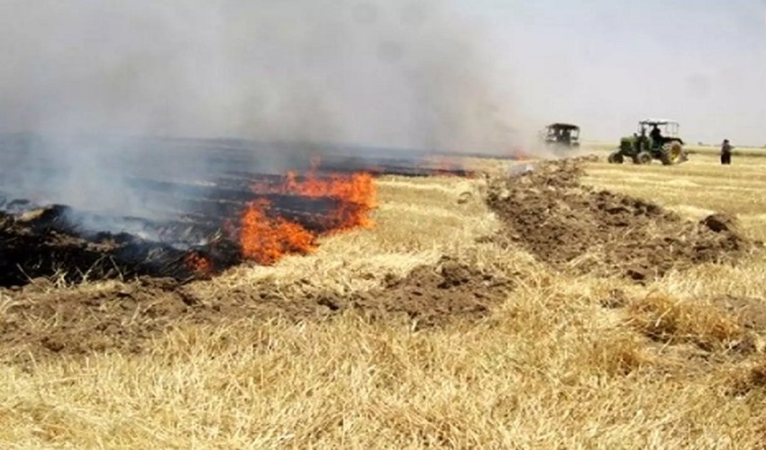 مدیرکل منابع طبیعی استان ایلام؛آتش زدن پس مانده محصولات کشاورزی آفتی برای طبیعت است