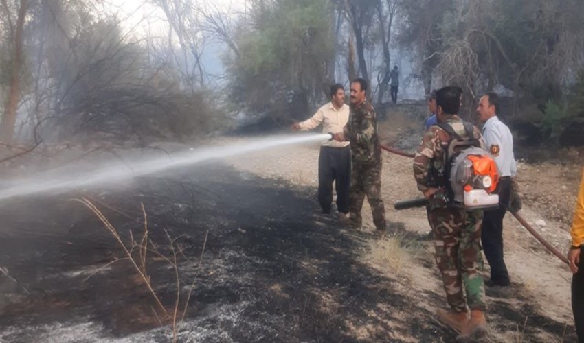 عامل آتش‌سوزی جنگل‌ها و مراتع منطقه پریکدان بویراحمد دستگیر شد