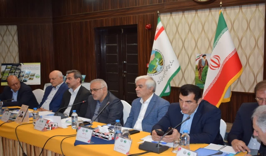 سرانه جنگل ایران حدود 0.17 هکتار است/ تولید یک میلیون‌ و ۷۰۰ هزار نهال در کرمانشاه طی سه ماهه اول سال‌جاری