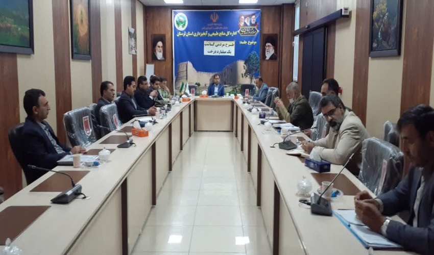 لرستان/سرعت عمل در اطفاء حریق جنگل‌ها و مراتع مهم است