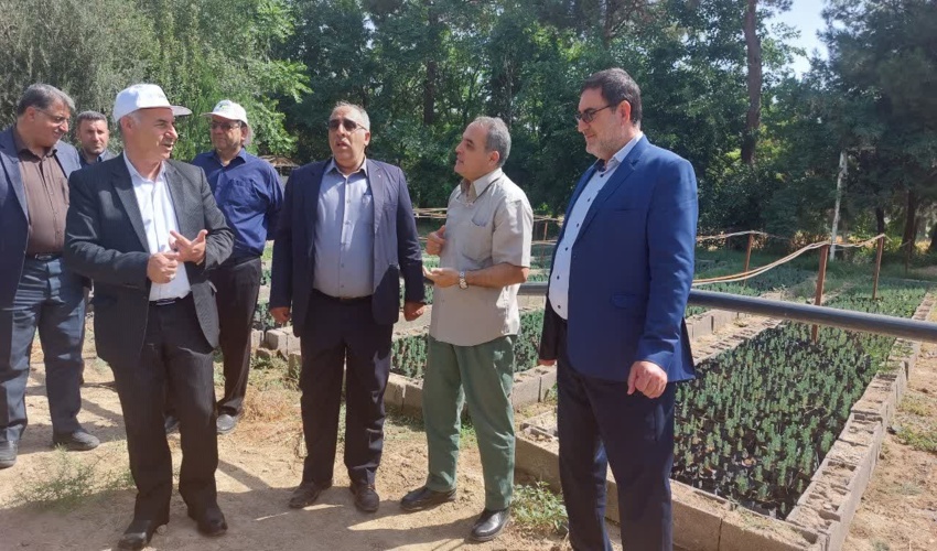 تولید بیش از ۲۴۸ میلیون اصله نهال/ ضرورت توجه دولت و مجلس به طرح کاشت یک میلیارد درخت در برنامه هفتم توسعه