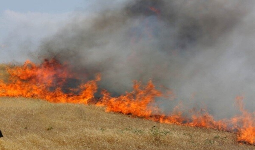 آمادگی مقابله با آتش‌سوزی مراتع در روزهای گرم فصل تابستان را داریم