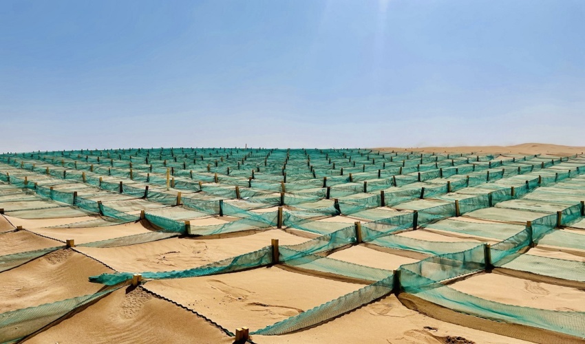 تثبیت ماسه های روان با استفاده از ۱۱ روش خارجی و بومی