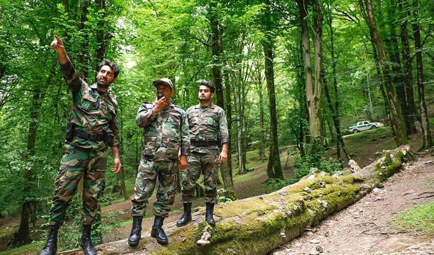 برگزاری مراسم روز جهانی جنگلبان در منابع طبیعی کشور