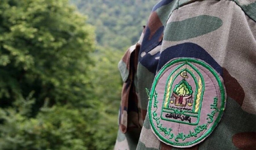 ۷۹ متخلف عرصه‌های منابع طبیعی استان سمنان دستگیر شدند