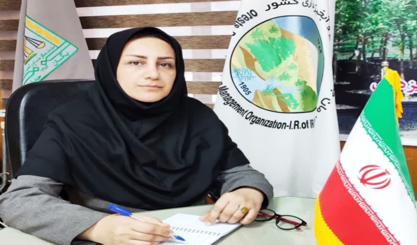 ساری/ فراخوان دومین جشنواره « منابع طبیعی و رسانه » مازندران در روز جنگلبان