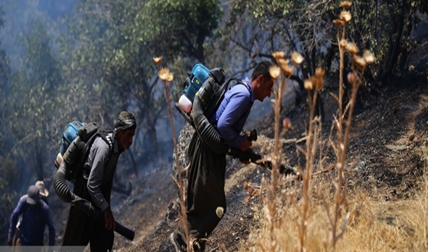 جلوه دیگر تلخی آتش‌سوزی جنگل‌های مریوان