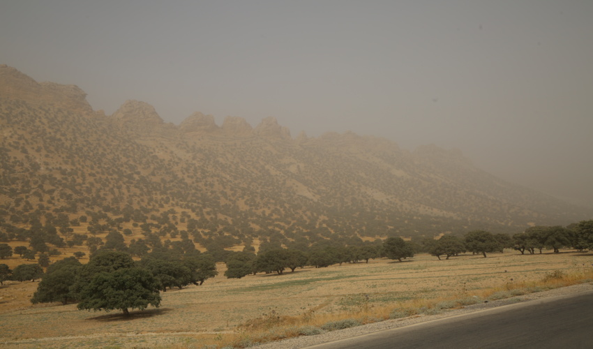 استان ایلام بیشترین تأثیر پذیری از ورود ریزگردها را دارد