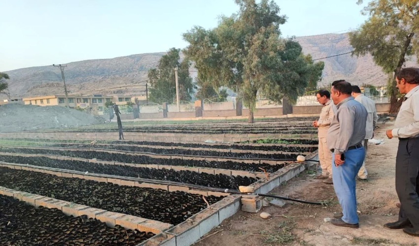 شهرستان های کهگیلویه، لنده، چرام پیشرو در طرح مردمی کاشت یک میلیارد درخت