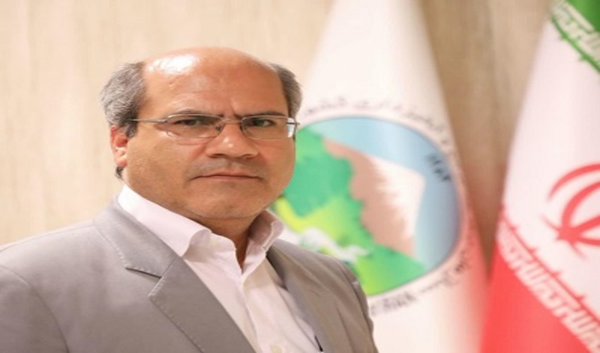 خسارت به ۲۳۰ پایه درخت در پروژه گازی در منطقه جنگلی بانکول ایلام