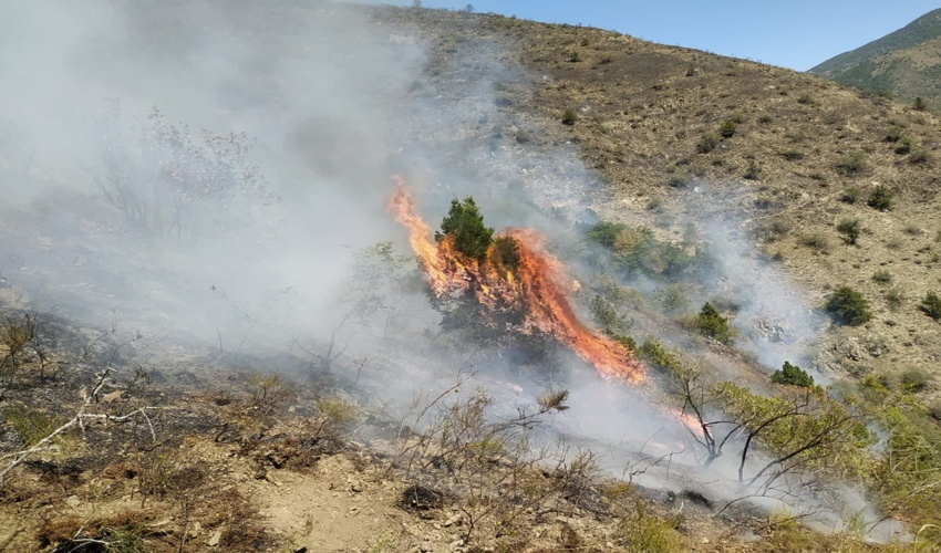 آذربایجان شرقی/جزییات آتش‌سوزی در جنگل‌های ارسباران