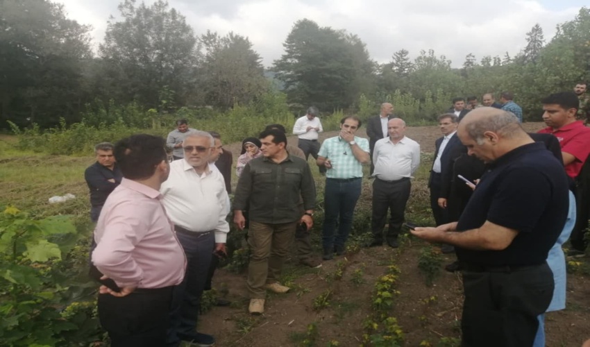 برآورد اعتبار ۱۸ هزار میلیارد تومانی طرح کاشت یک میلیارد درخت