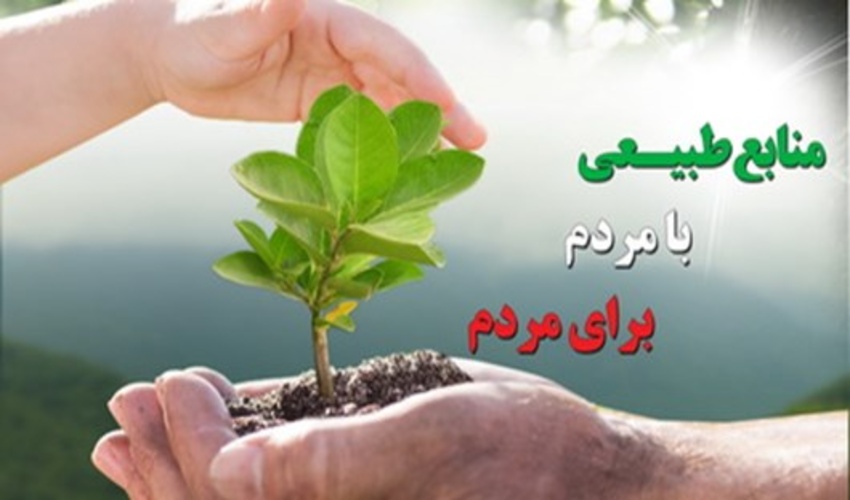 سامانه  رصد تولید و کاشت درخت راه اندازی شد