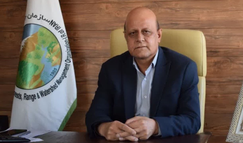 “عوامل انسانی” اصلی‌ترین عامل آتش‌سوزی جنگل‌های کرمانشاه است