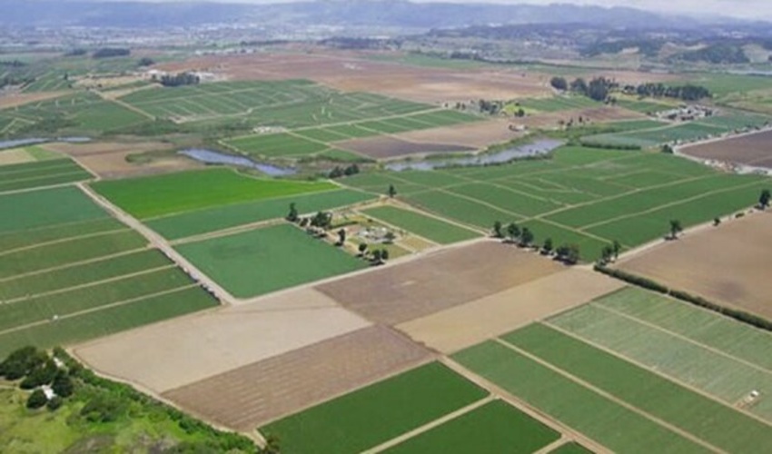 واگذاری اراضی ملی و دولتی برای کشاورزی فقط با تصویب سازمان منابع طبیعی و آبخیزداری امکان‌پذیر است