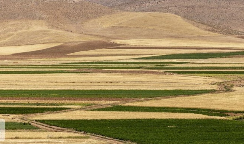 بیش از 112 هزار هکتار از اراضی ملی زنجان رفع تداخل شد