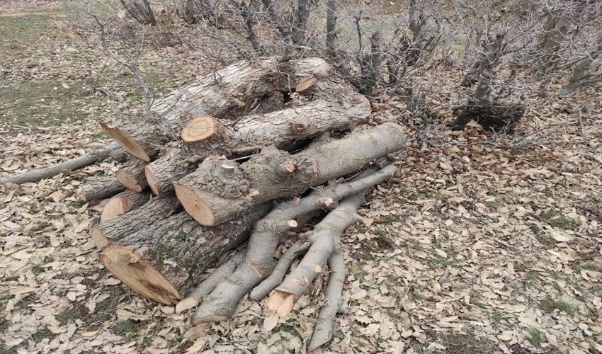 کهگیلویه/ 38  پرونده تخلف عرصه های ملی در شهرستان باشت تشکیل شد