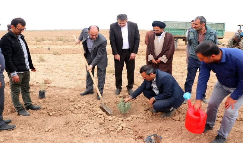 قزوین/ اجرای پویش درخت و نهال کاری در اراضی شهرستان بوئین زهرا