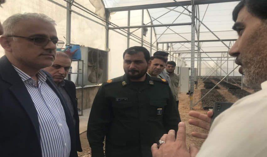 بازدید رییس سازمان منابع طبیعی از مجموعه گلخانه ای و نخلستان دهکده اقتصاد مقاومتی اهواز /به روایت تصویر