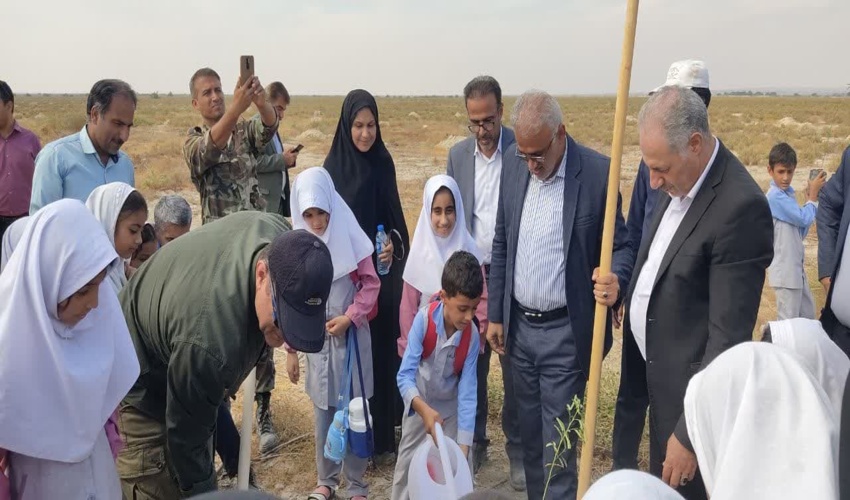 رئیس سازمان منابع طبیعی چند درخت در شهرستان دیلم غرس کرد