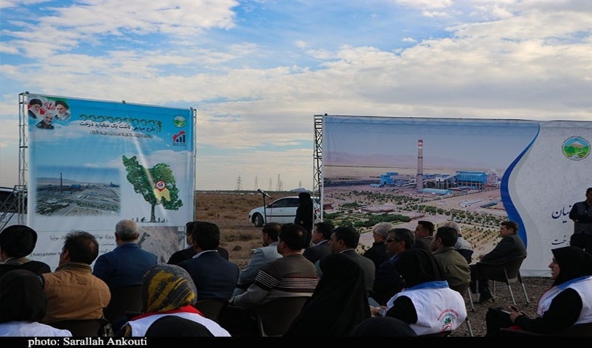 آغاز کاشت ۵۴۰ هزار اصله نهال در کرمان 