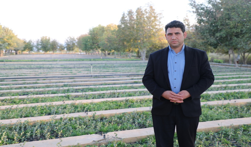 تولید 4 برابری نهال جهت اجرای طرح مردمی کاشت یک میلیارد درخت