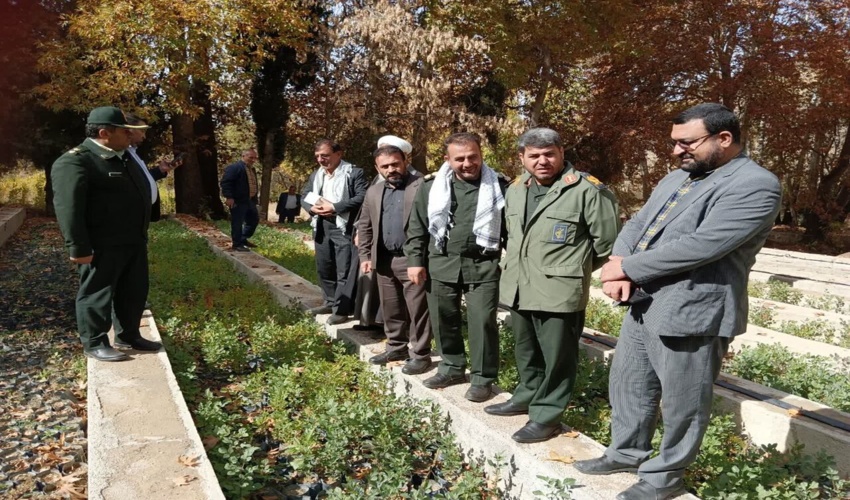 بسیجیان در احیاء جنگل‌های کهگیلویه و بویراحمد مشارکت می‌کنند