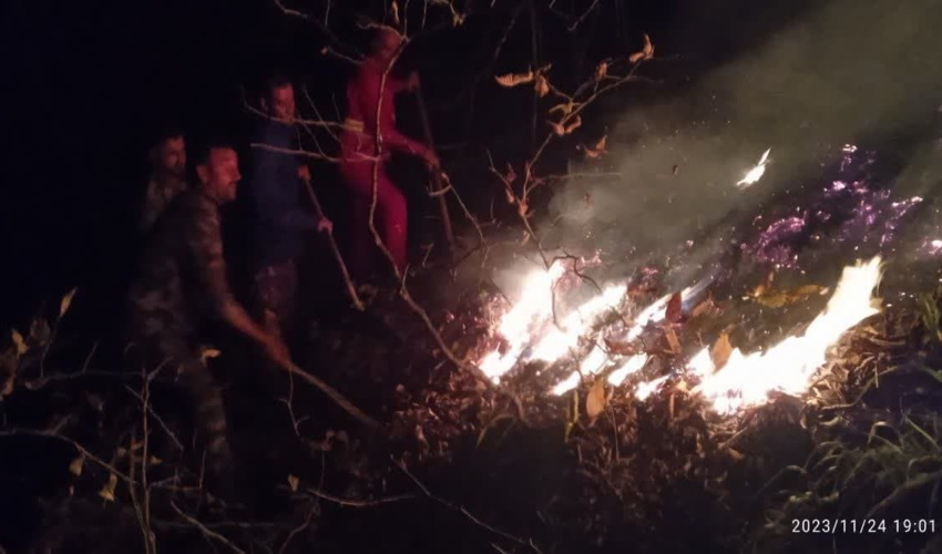 همکار خبرنگار؛ بهرام نعمتی از استان گیلان