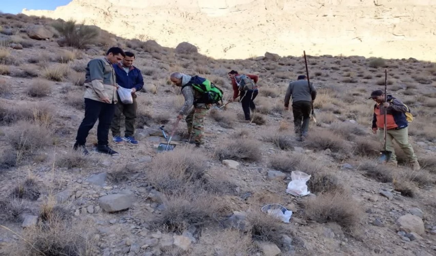 یزد/ اجرای پویش بذرکاری کاشت درخت در مهریز