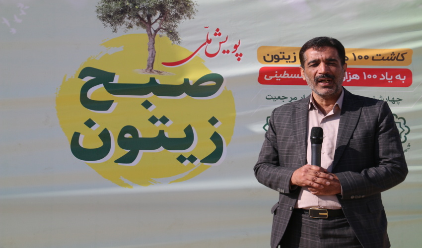 کاشت 10 هزار نهال زیتون به یاد شهدای فلسطین در قم