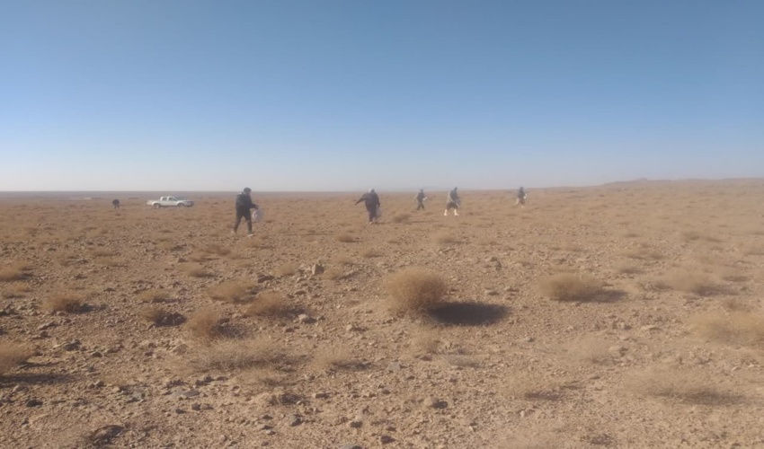 بذر پاشی در بیش از ۱۷۰۰ هکتار از اراضی مرتعی خراسان رضوی