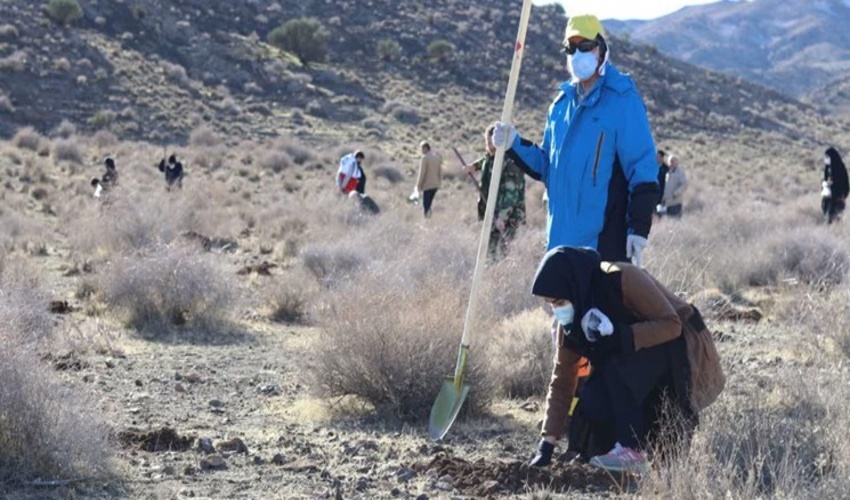 آذربایجان غربی/ 150 هکتار از مراتع شهرستان سردشت غنی‌سازی شد