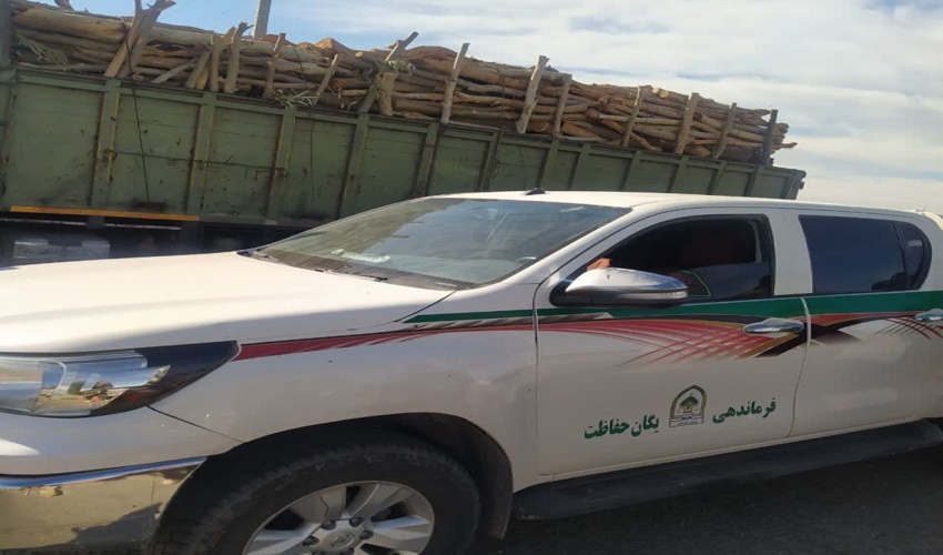 جنوب کرمان/کشف و ضبط ۱۵ تُن چوب بدون مجوز حمل در شهرستان جیرفت