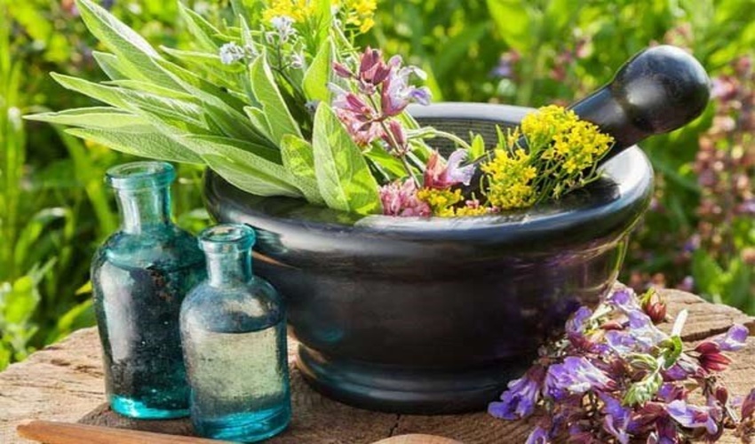 صادرات بیش از 850 تن گیاهان دارویی به بازارهای جهانی 