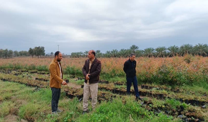 بازدید مدیرکل منابع طبیعی جنوب کرمان از پروژه های شهرستان های قلعه گنج و منوجان