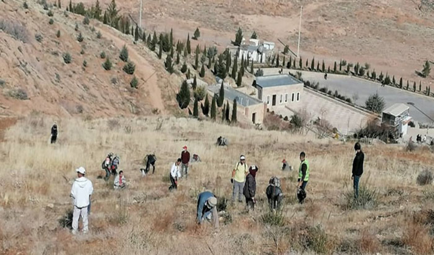 اصفهان/ 379 هزار اصله نهال در شهرستان شهرضا کاشت می شود